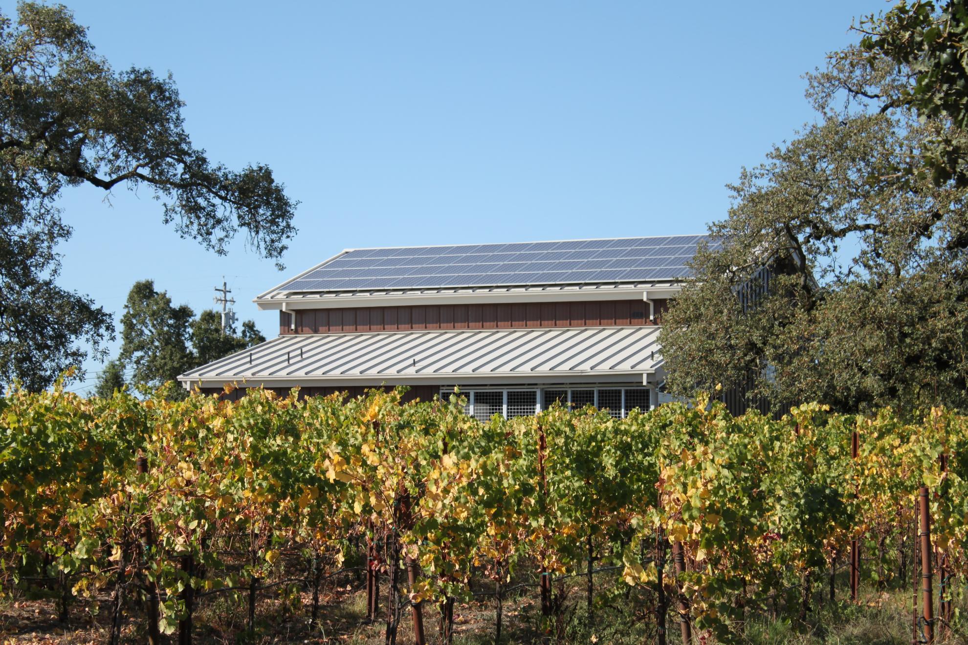 inman_winery,_santa_rosa.jpg
