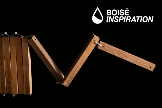 Boise Inspiration iN