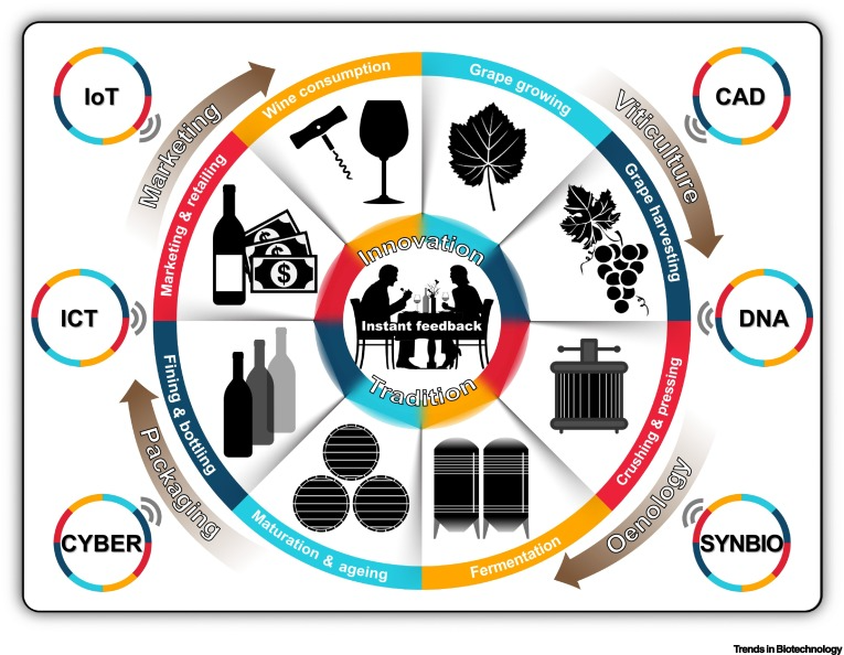 4. Enology at California State University embracing technology